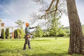 Best Hazardous Tree Removal  in , PA